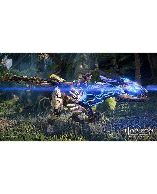 Horizon Forbidden West PS5 3