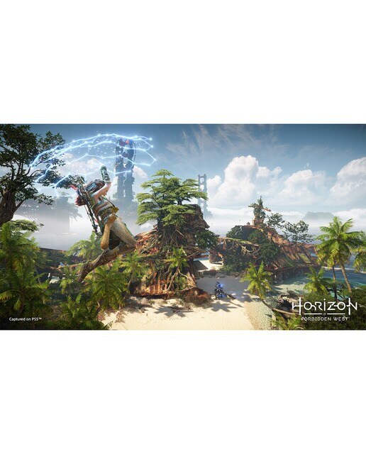 Horizon Forbidden West PS5 4
