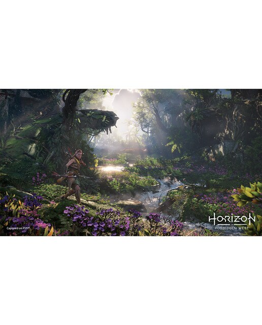 Horizon Forbidden West PS5 6