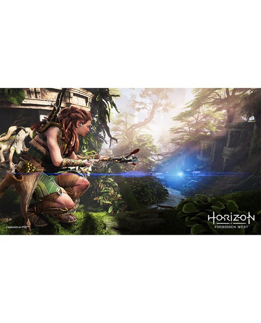 Horizon Forbidden West PS5 8