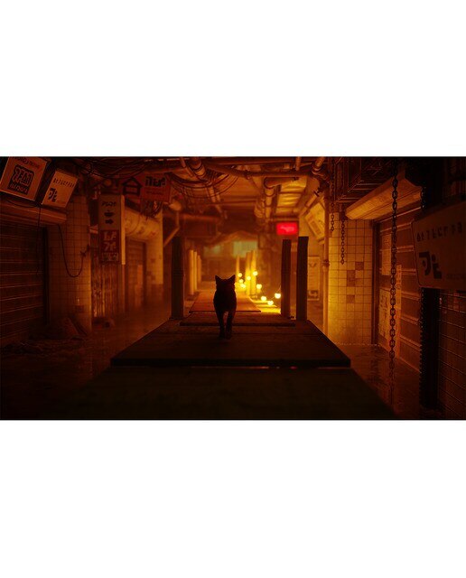 Stray PlayStation 5 7