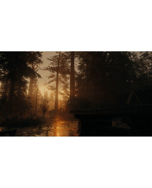 Alan Wake 2 Deluxe Edition PlayStation 5 10