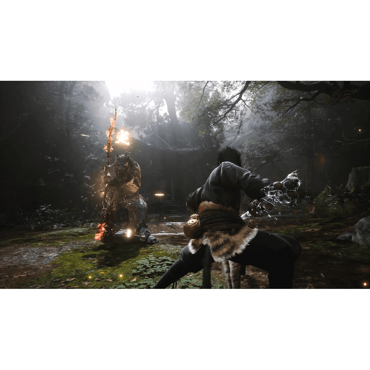 Black Myth: Wukong PlayStation 5 2