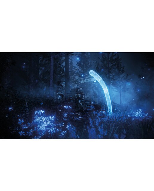 Elden Ring: Shadow of the Erdtree Edition Xbox Series X 11