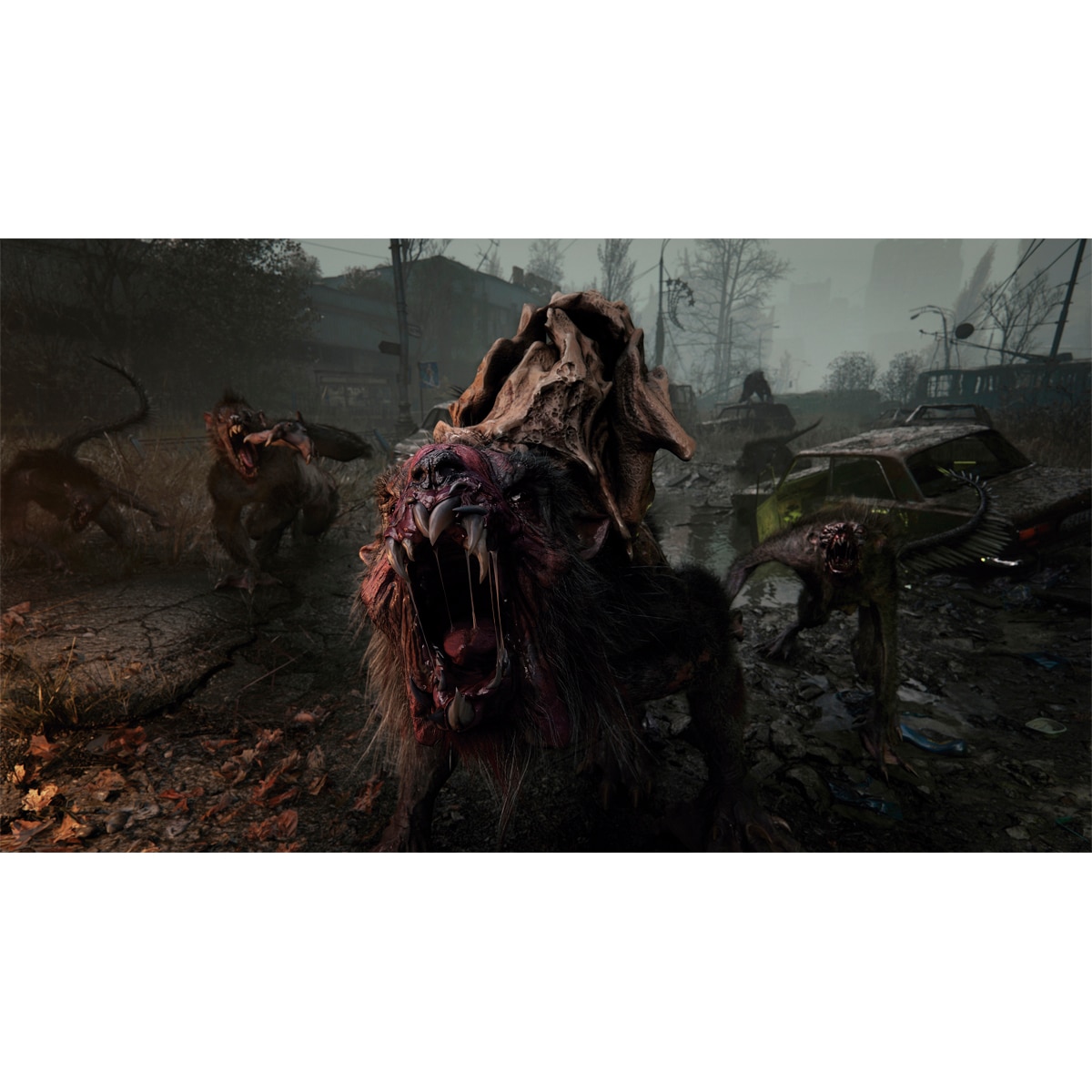 Imagen 5 de Metro 2039 Day One Edition Xbox Series X