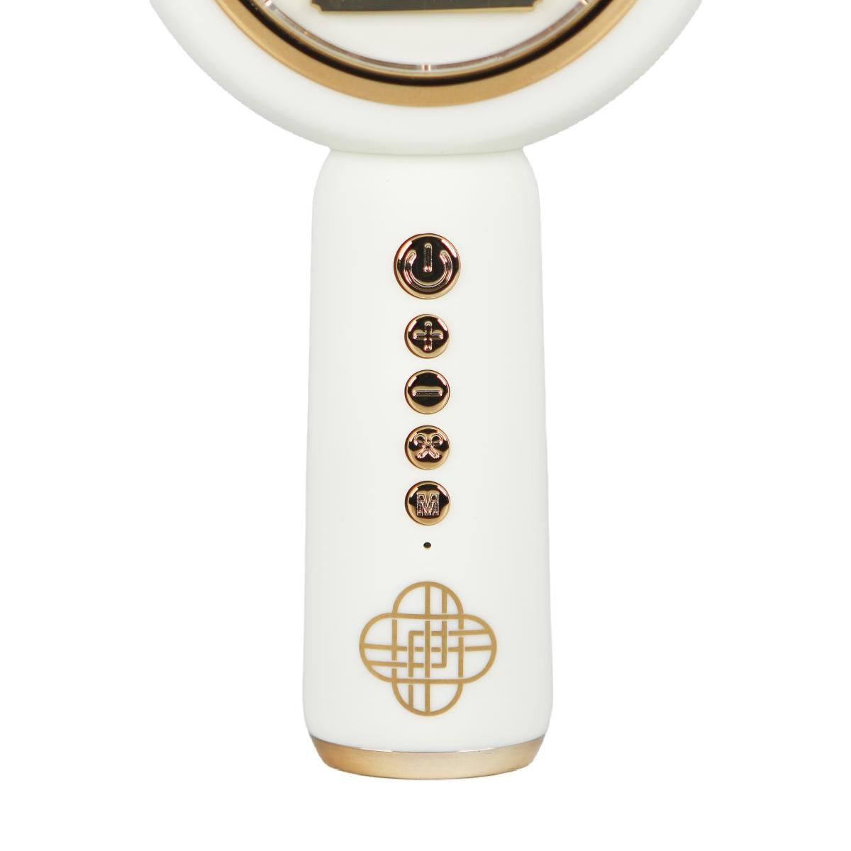 Micrófono Bluetooth con luz LED y altavoz con efectos de voz KPOP Demon Hunters Golden 11