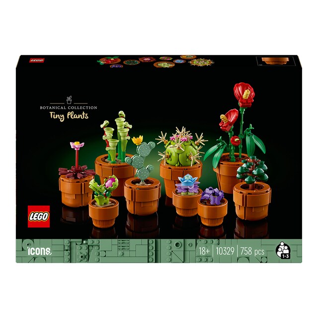 Imagem 0 de Plantas em Miniatura