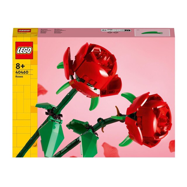Imagem 0 de Rosas