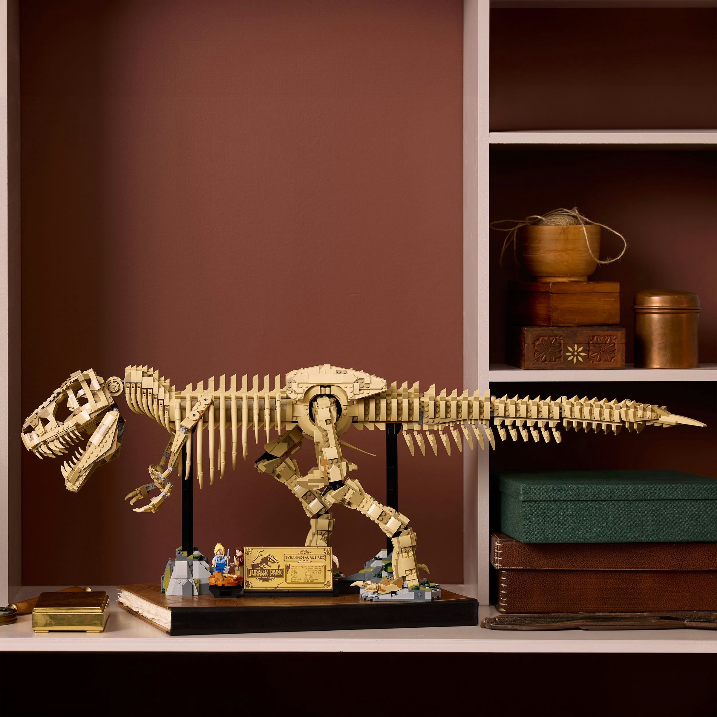 Juego de construcción Fósiles de Dinosaurio: Tyrannosaurus rex
