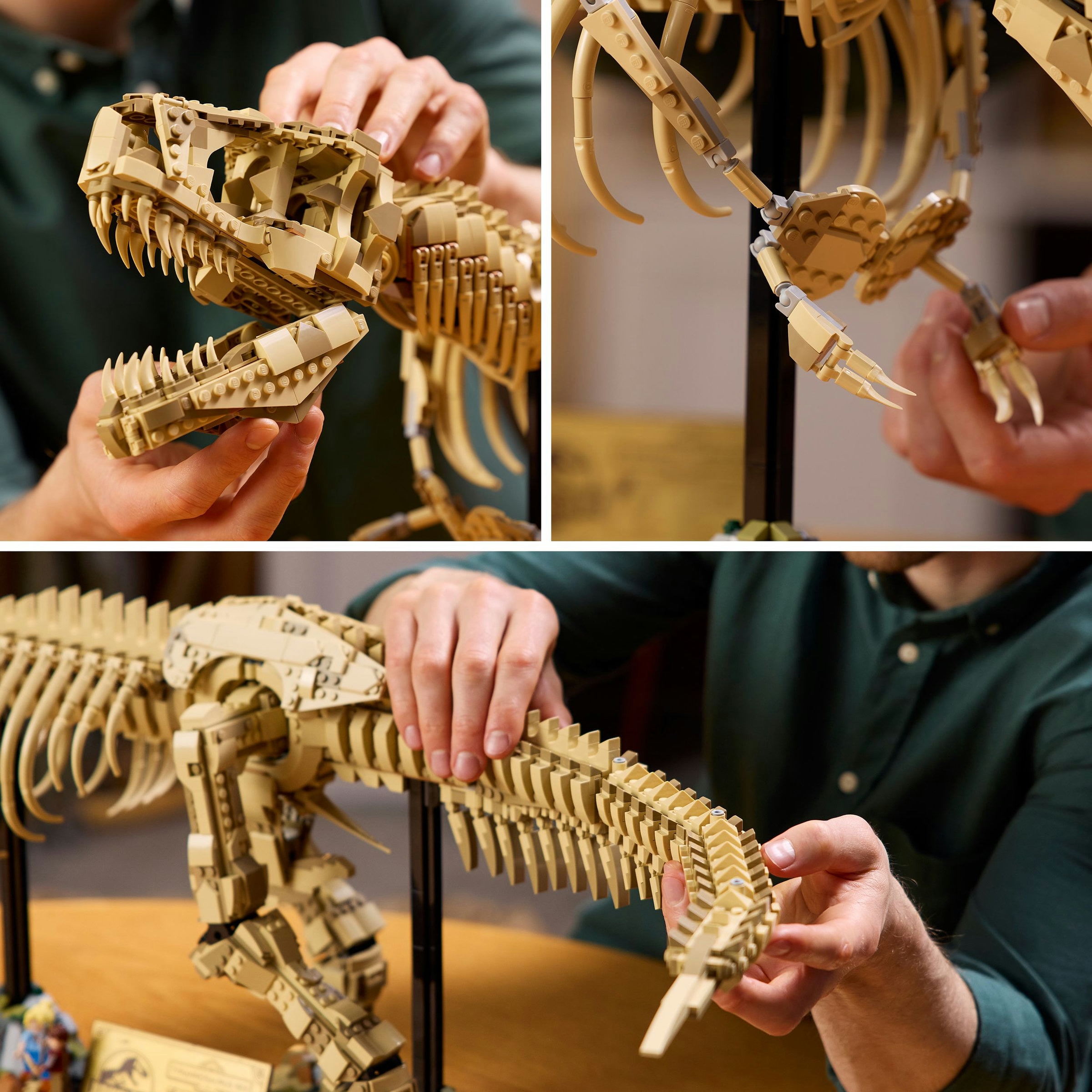 Juego de construcción Fósiles de Dinosaurio: Tyrannosaurus rex