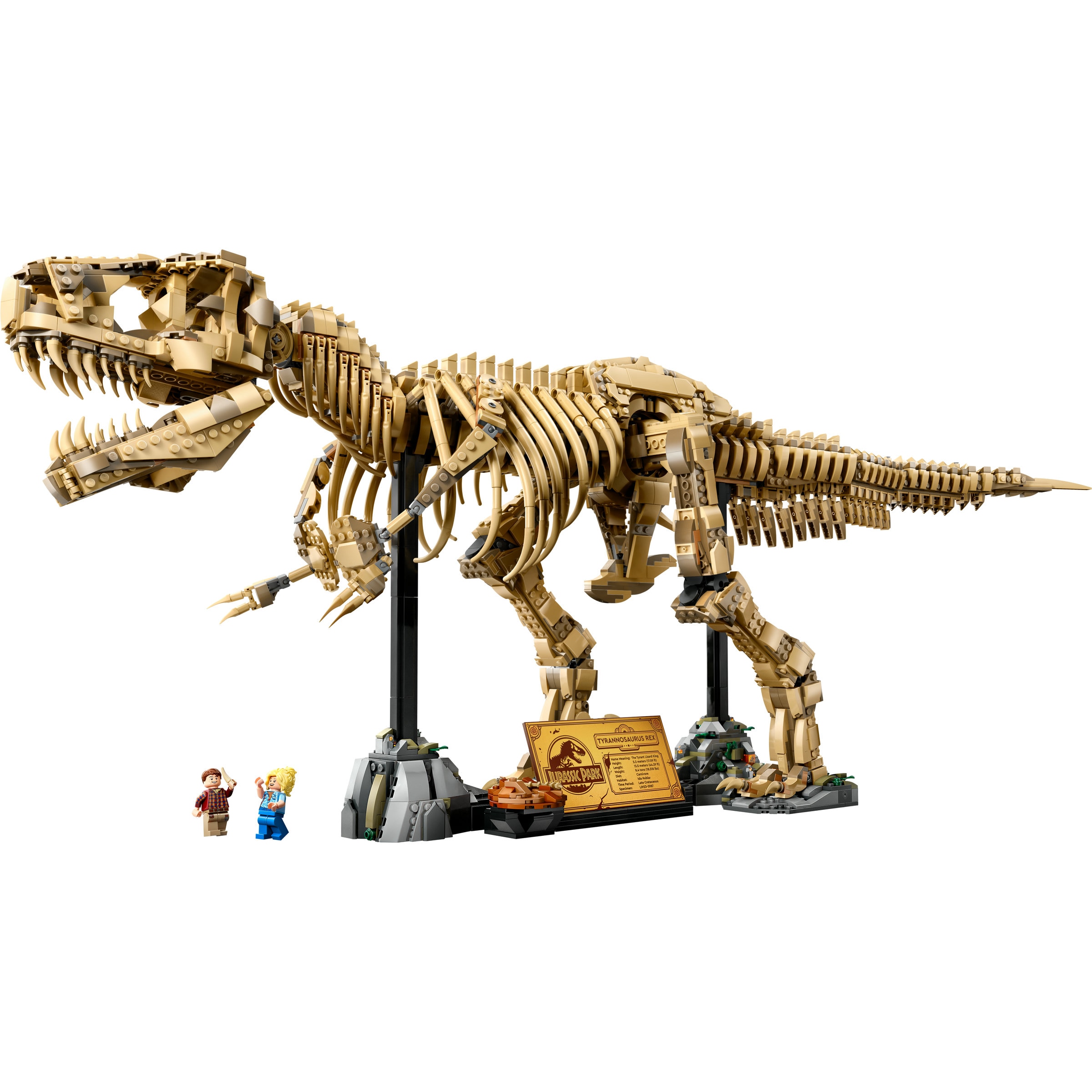 Juego de construcción Fósiles de Dinosaurio: Tyrannosaurus rex