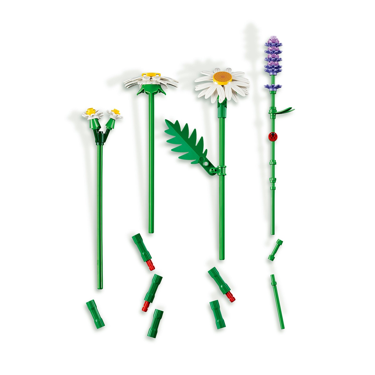 Juego de construcción Margaritas LEGO Botanicals - 11508 6