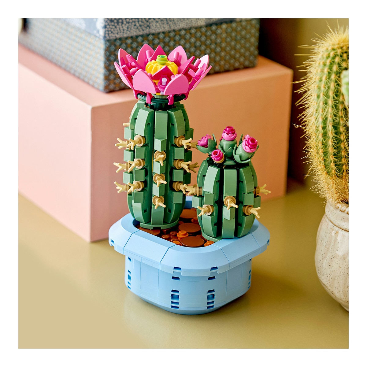 Juego de construcción Cactus en Flor LEGO Botanicals - 11509 7