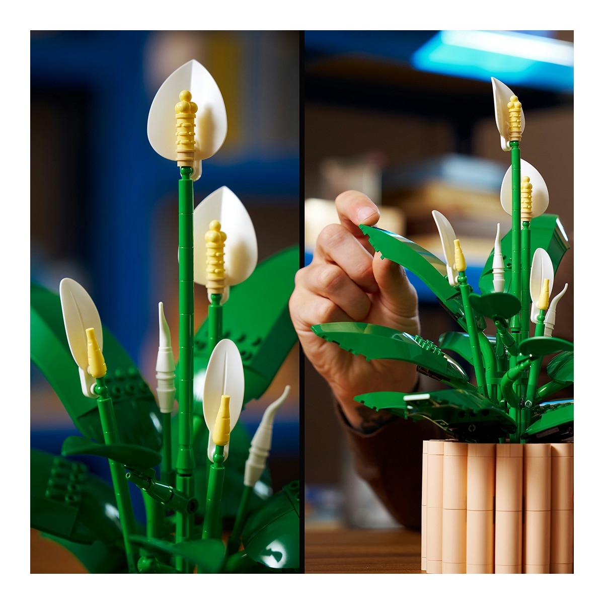 LEGO® Botanicals Lírio-da-paz 6