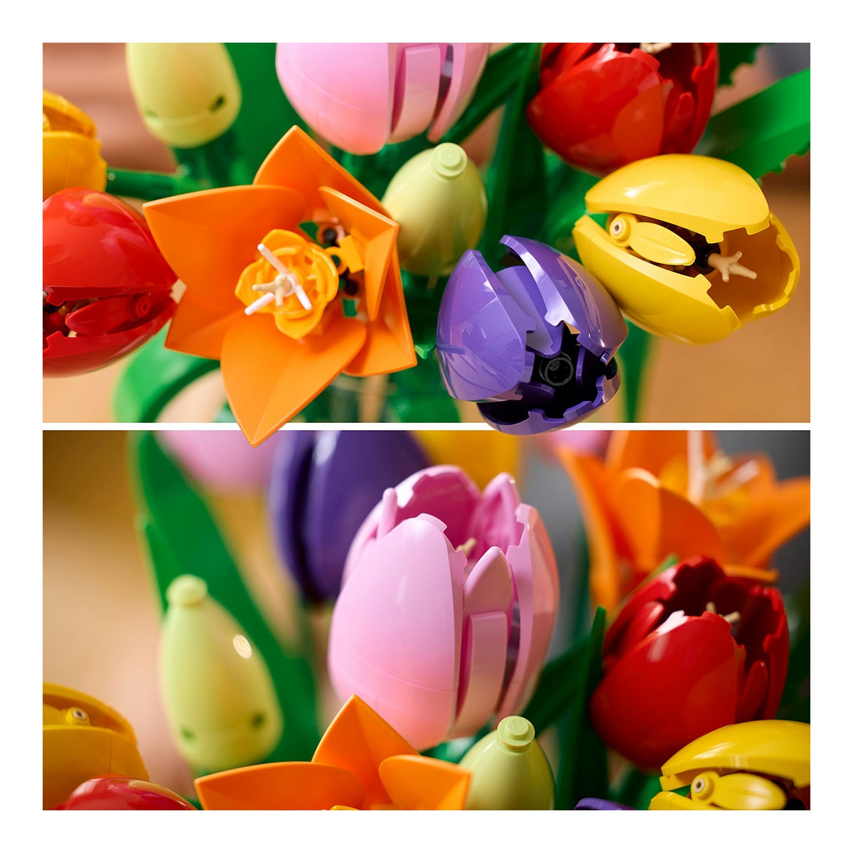 LEGO® Botanicals Lírio-da-paz 6