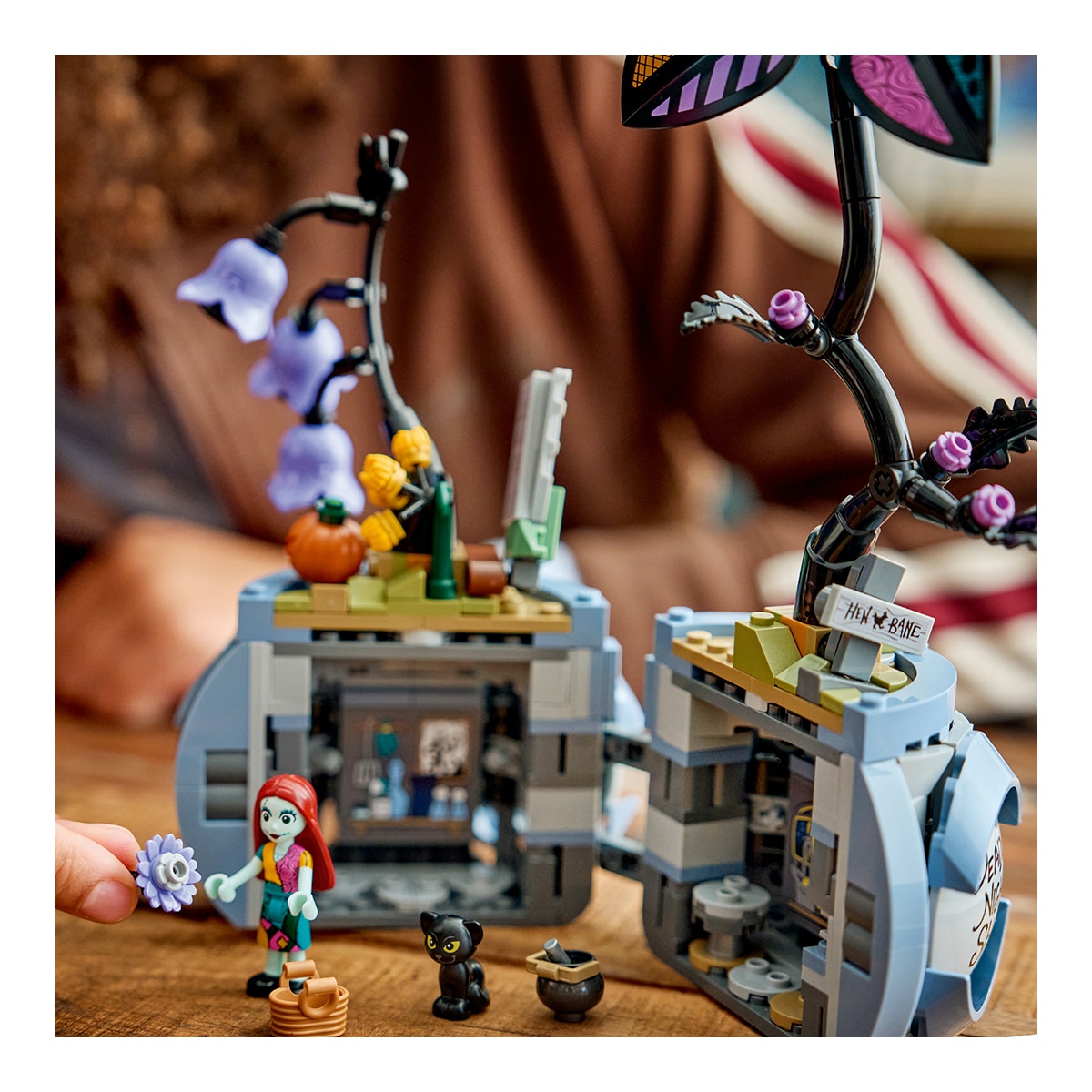 O Vaso de Flores da Sally Lego Disney 6