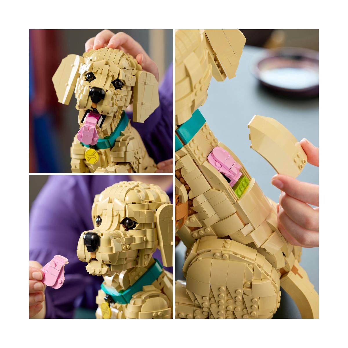 Lego Cachorrinho Golden Retriever Lego Icons 5