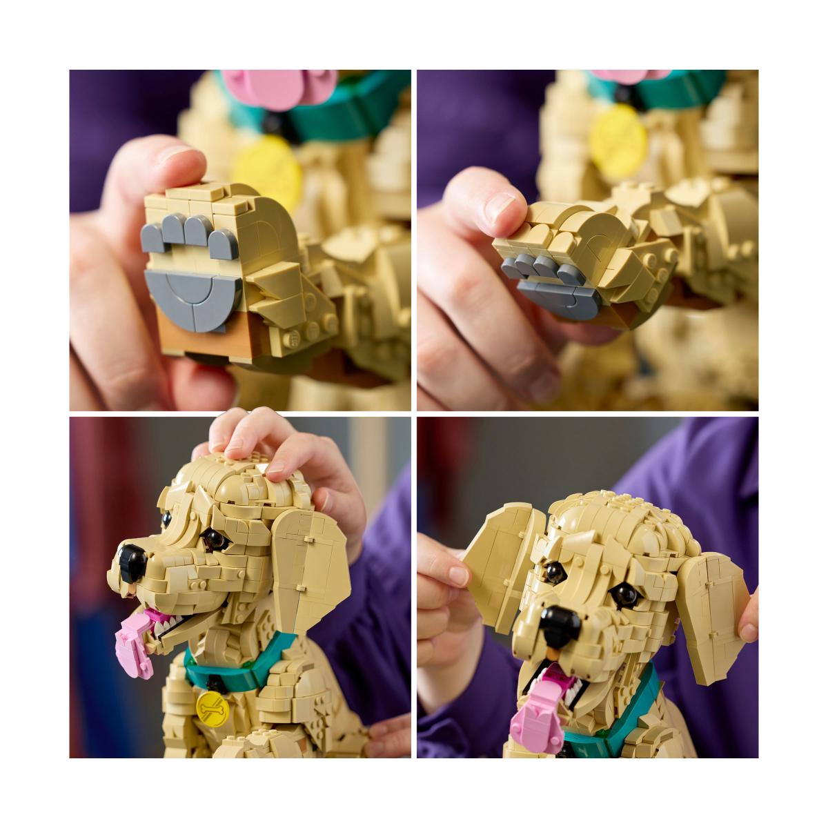 Lego Cachorrinho Golden Retriever Lego Icons 6