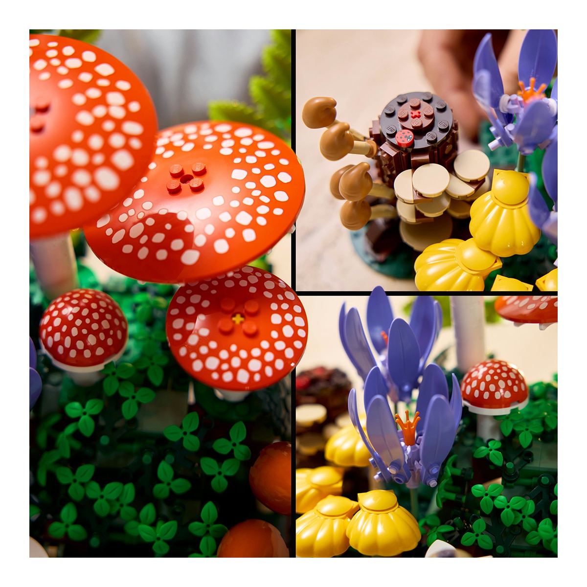 Cogumelos Silvestres LEGO® Botanicals 5