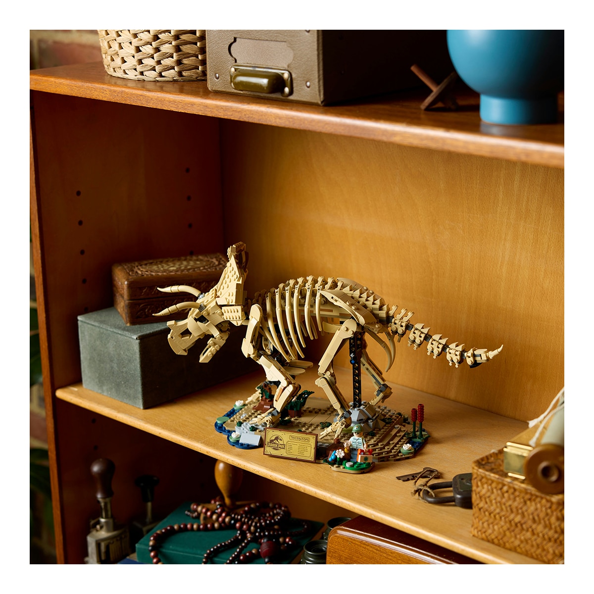 Fósseis de Dinossauros: Triceratops LEGO® Jurassic World 4