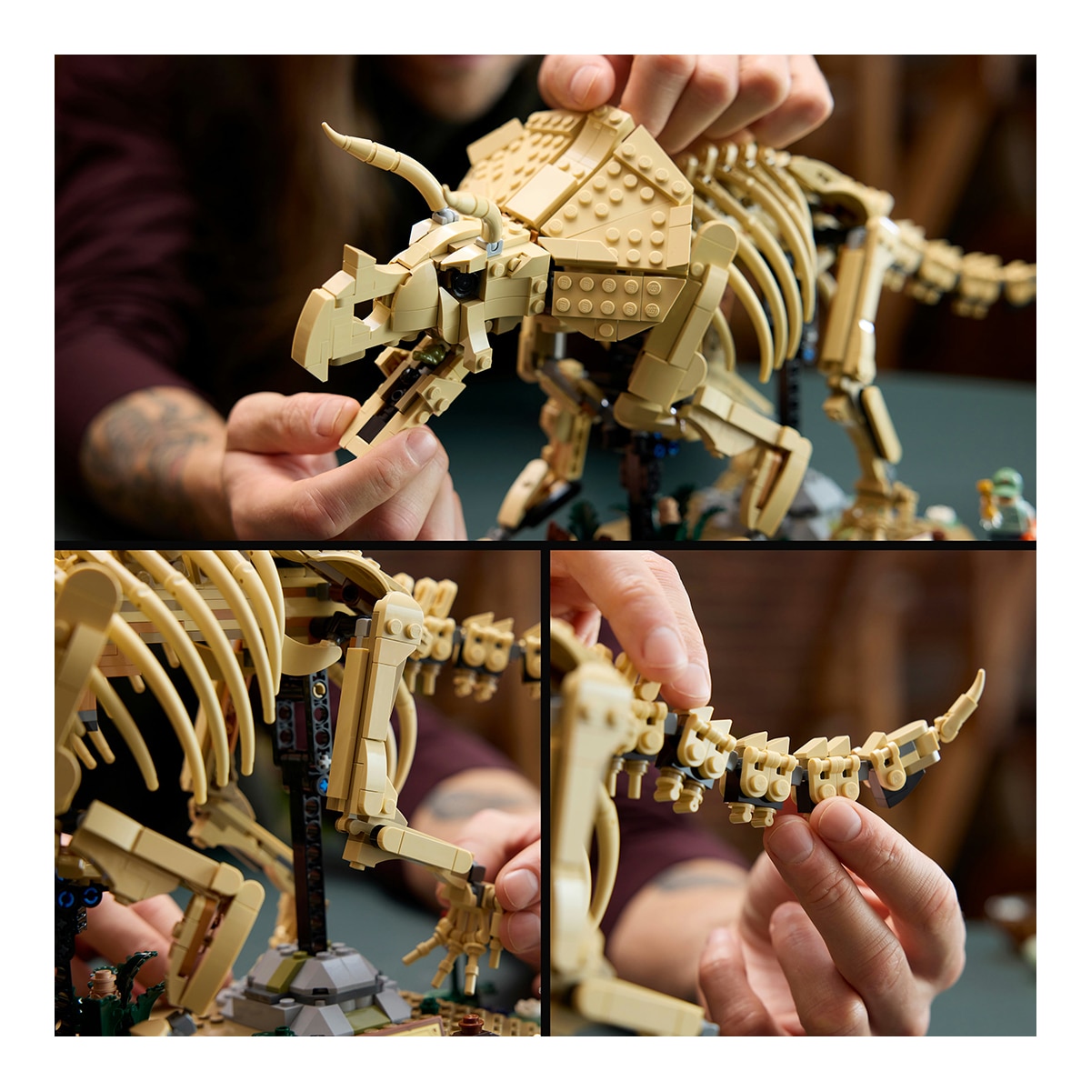 Fósseis de Dinossauros: Triceratops LEGO® Jurassic World 5