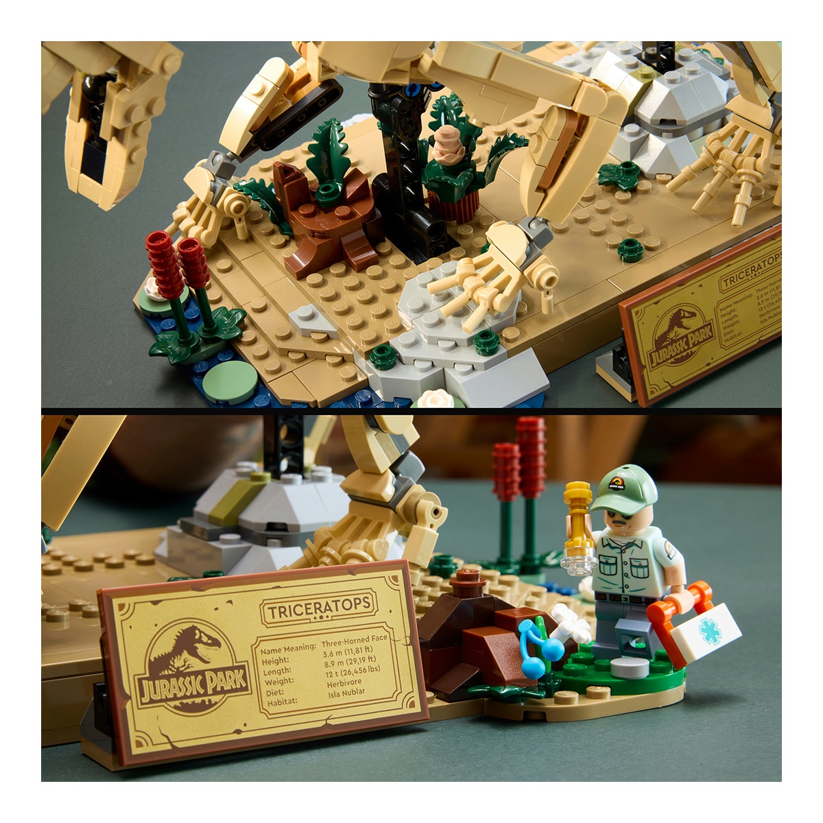 Fósseis de Dinossauros: Triceratops LEGO® Jurassic World 6
