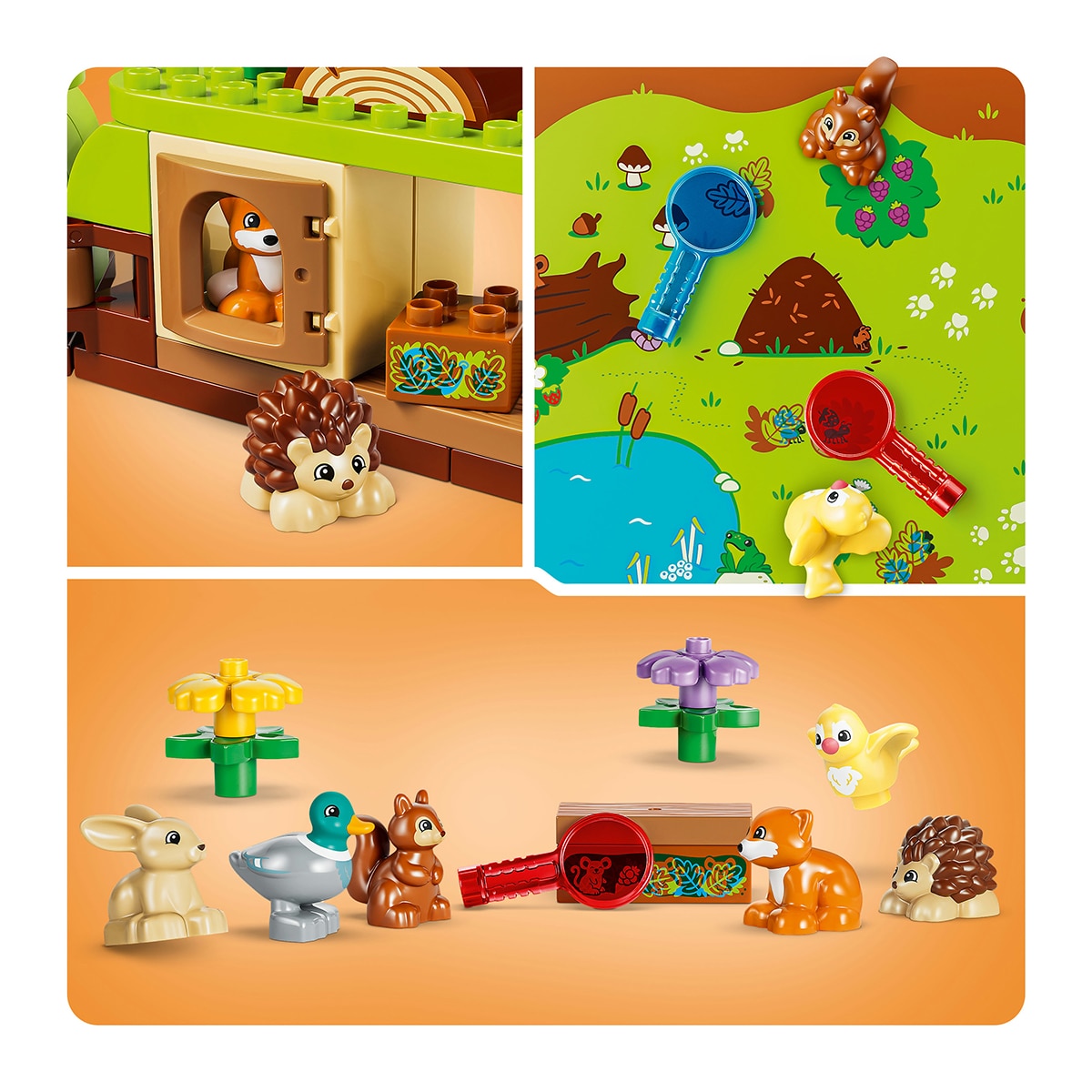 Floresta de Descobertas com Animais Selvagens LEGO® DUPLO® 5