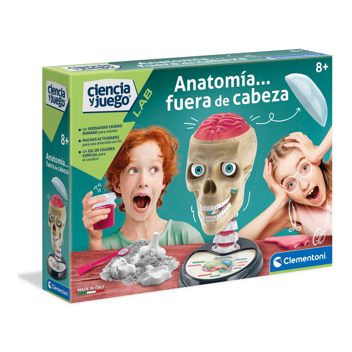 Anatomía fuera de cabeza 1