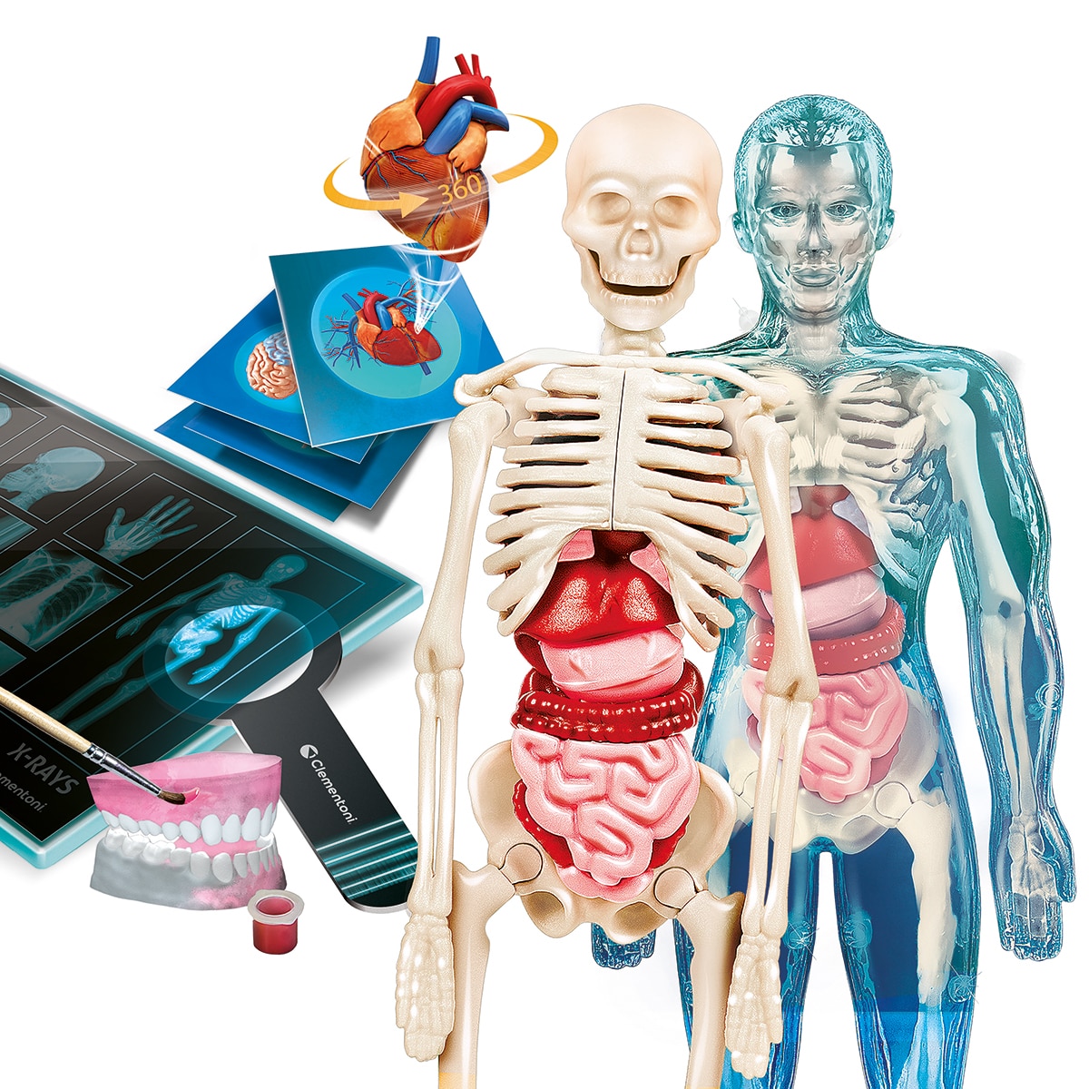 Juego de mesa SuperAnatomía Clementoni 2
