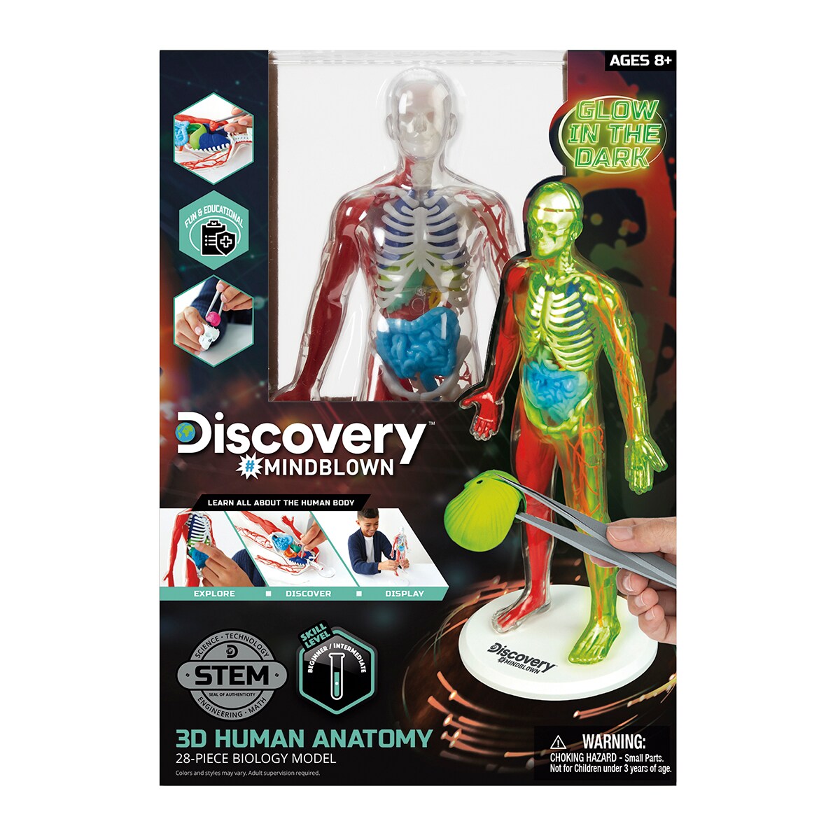 Juego educativo Kit de anatomía 28 piezas Discovery 1