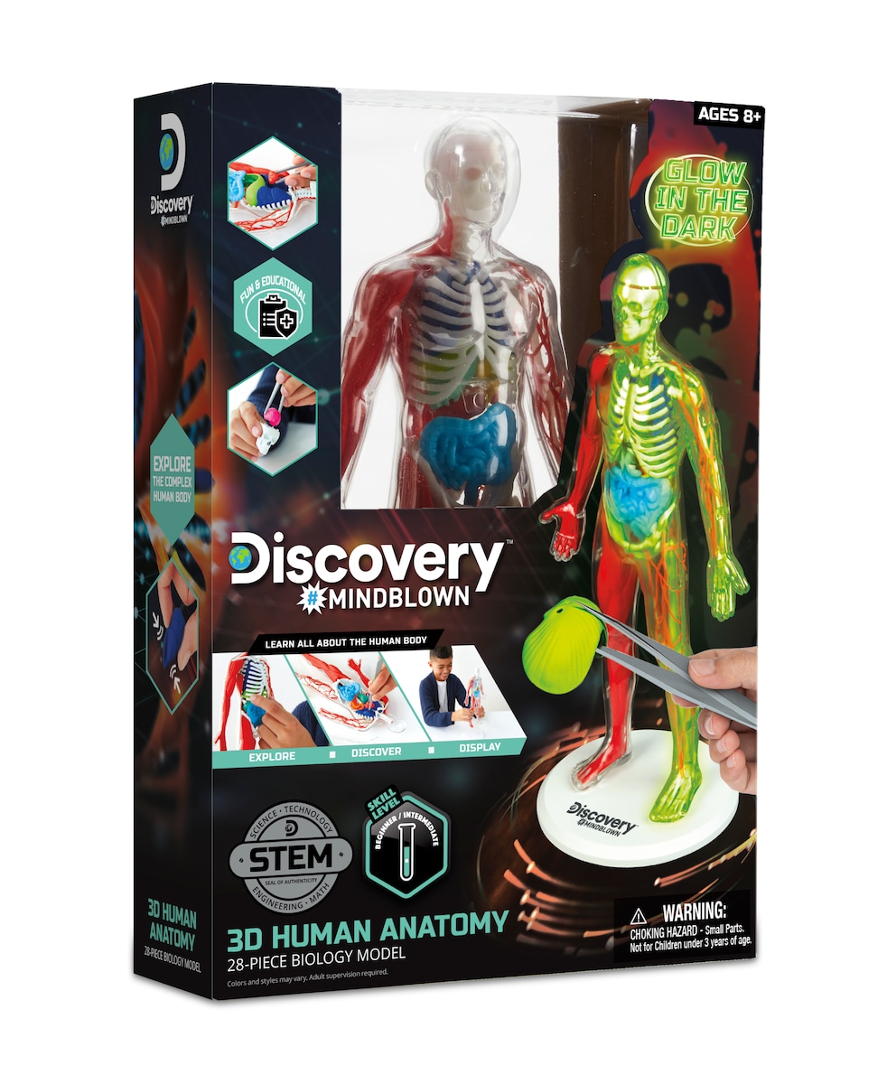Juego educativo Kit de anatomía 28 piezas Discovery 3