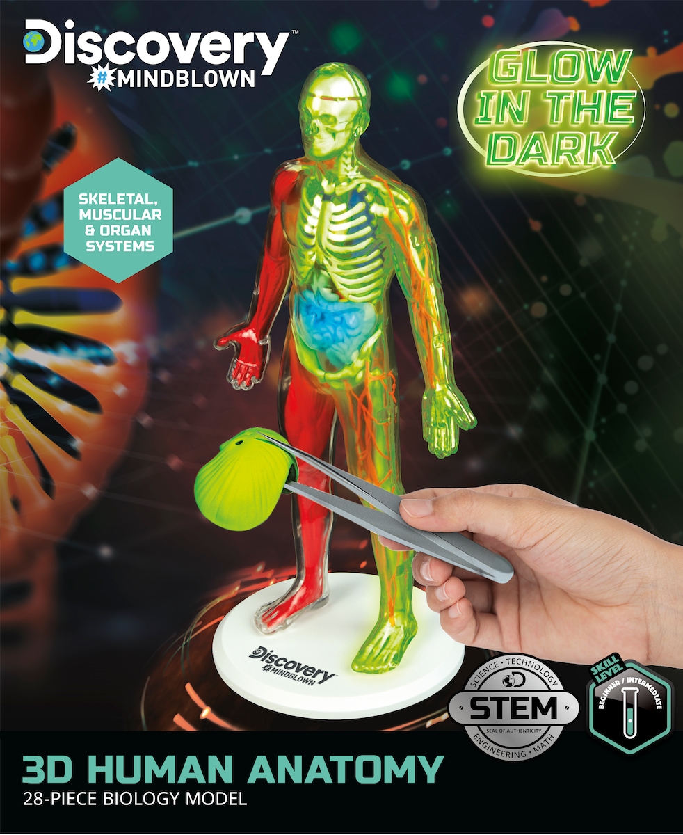Juego educativo Kit de anatomía 28 piezas Discovery 4