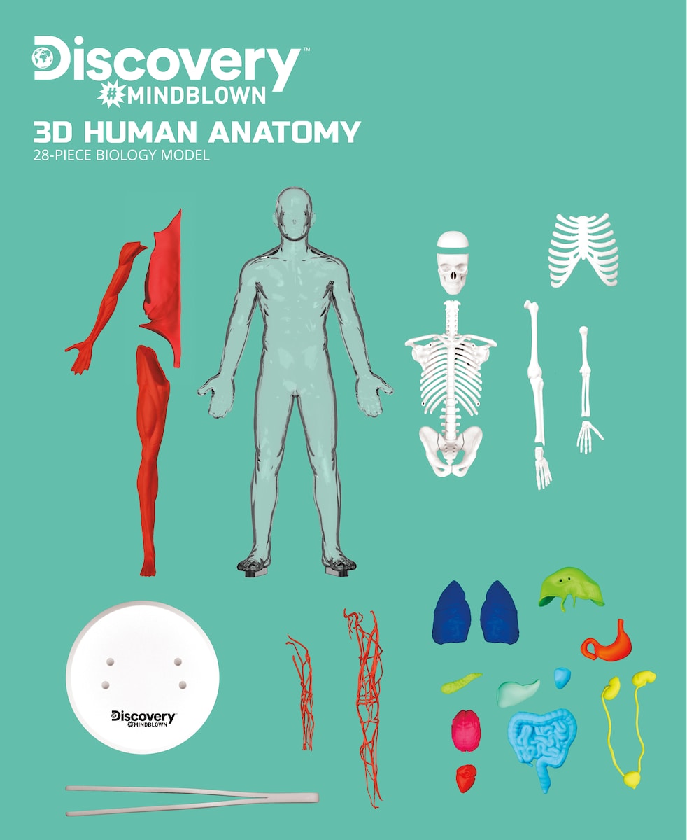 Juego educativo Kit de anatomía 28 piezas Discovery 7