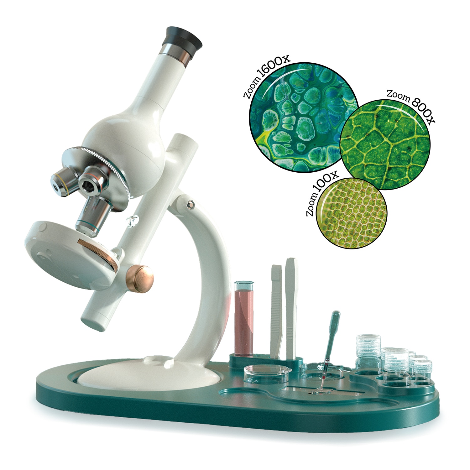 Microscopio De Laboratorio Canal Science 9
