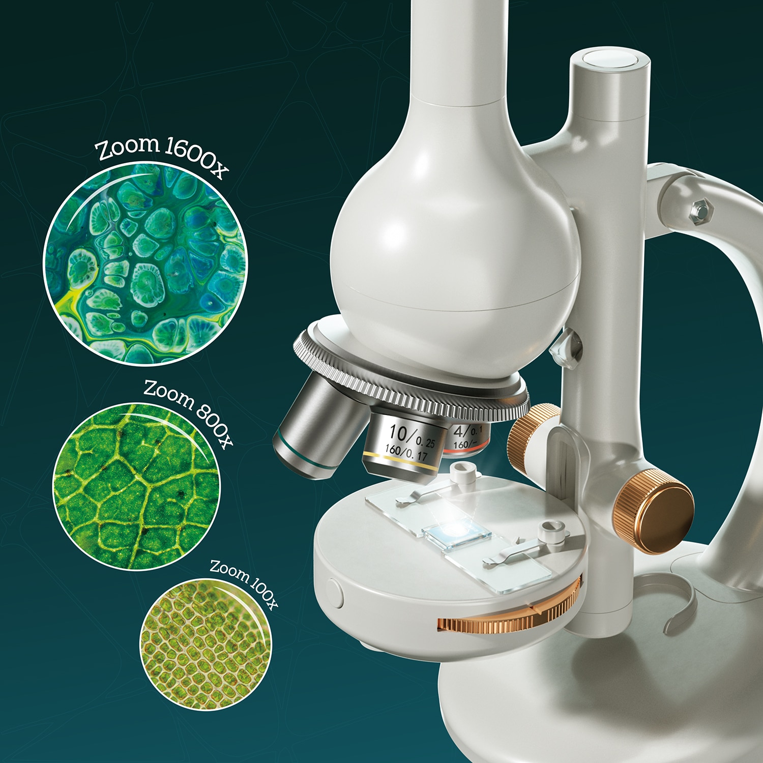 Microscopio De Laboratorio Canal Science 16
