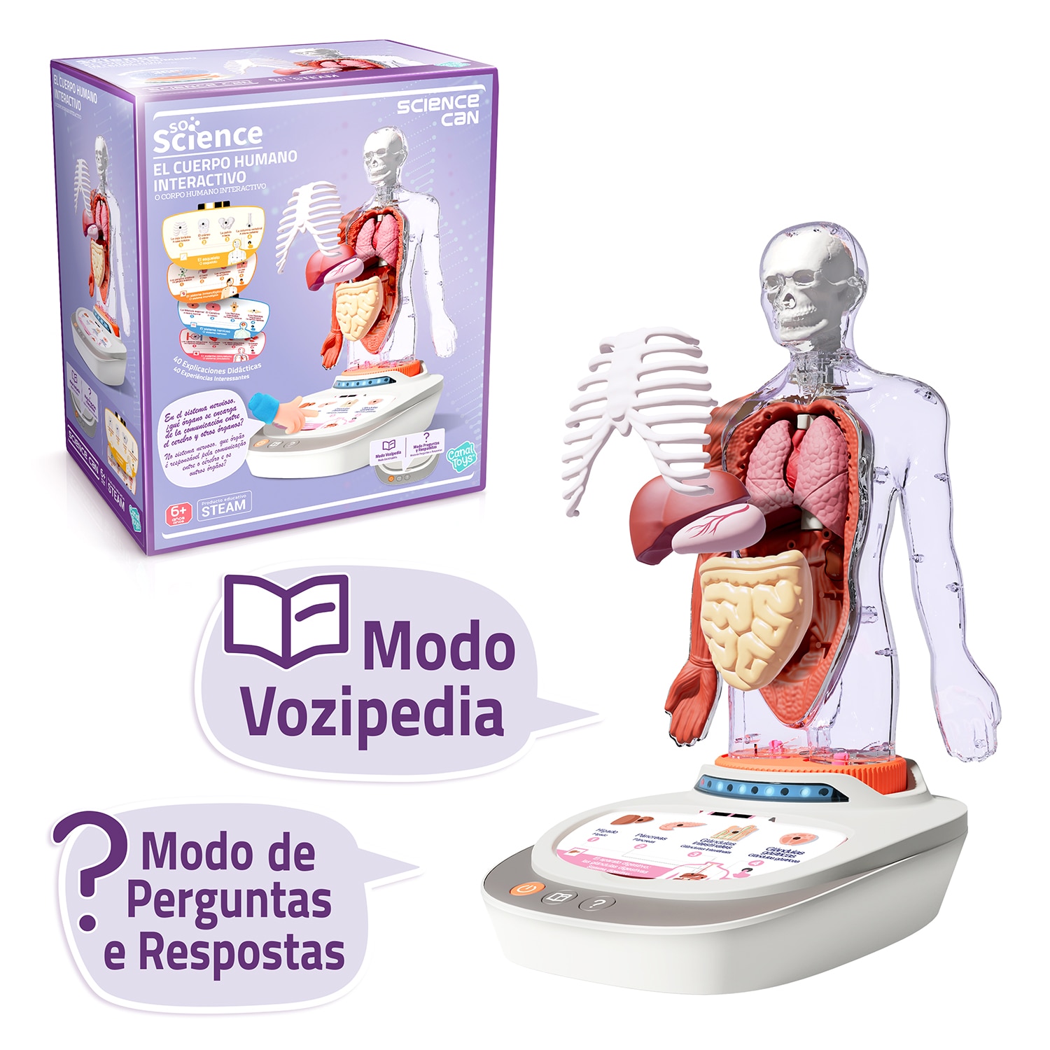 Cuerpo Humano Vozpedia Canal Science 8