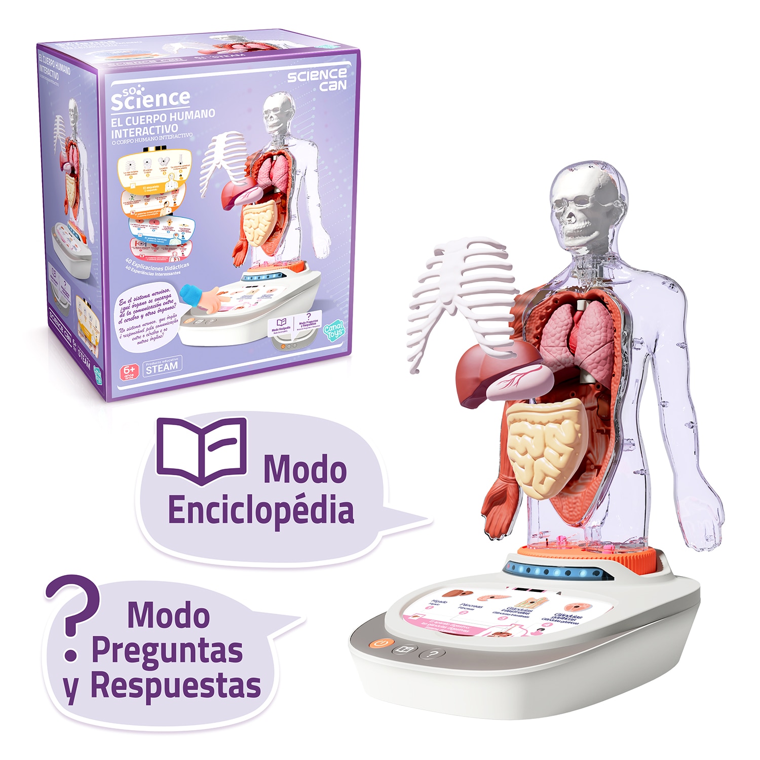 Cuerpo Humano Vozpedia Canal Science 9