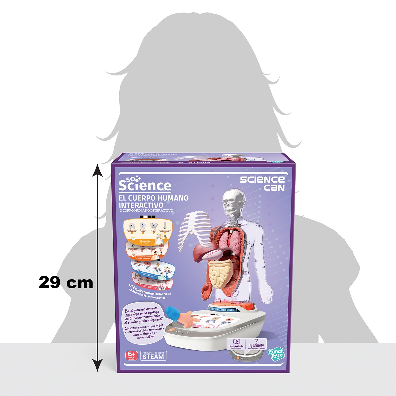 Cuerpo Humano Vozpedia Canal Science 11