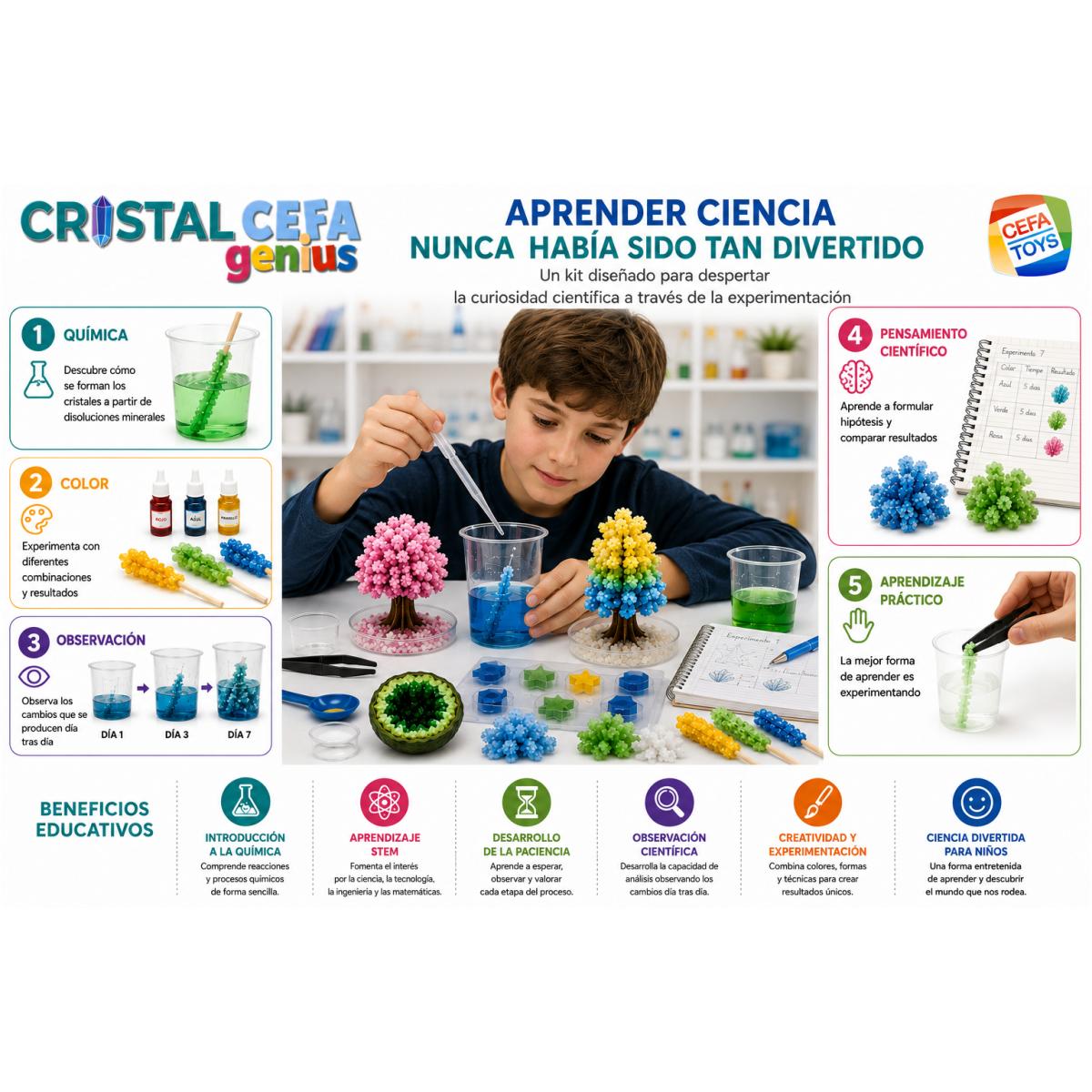 Juego educativo Cristalcefa Genius Cefa Toys 4
