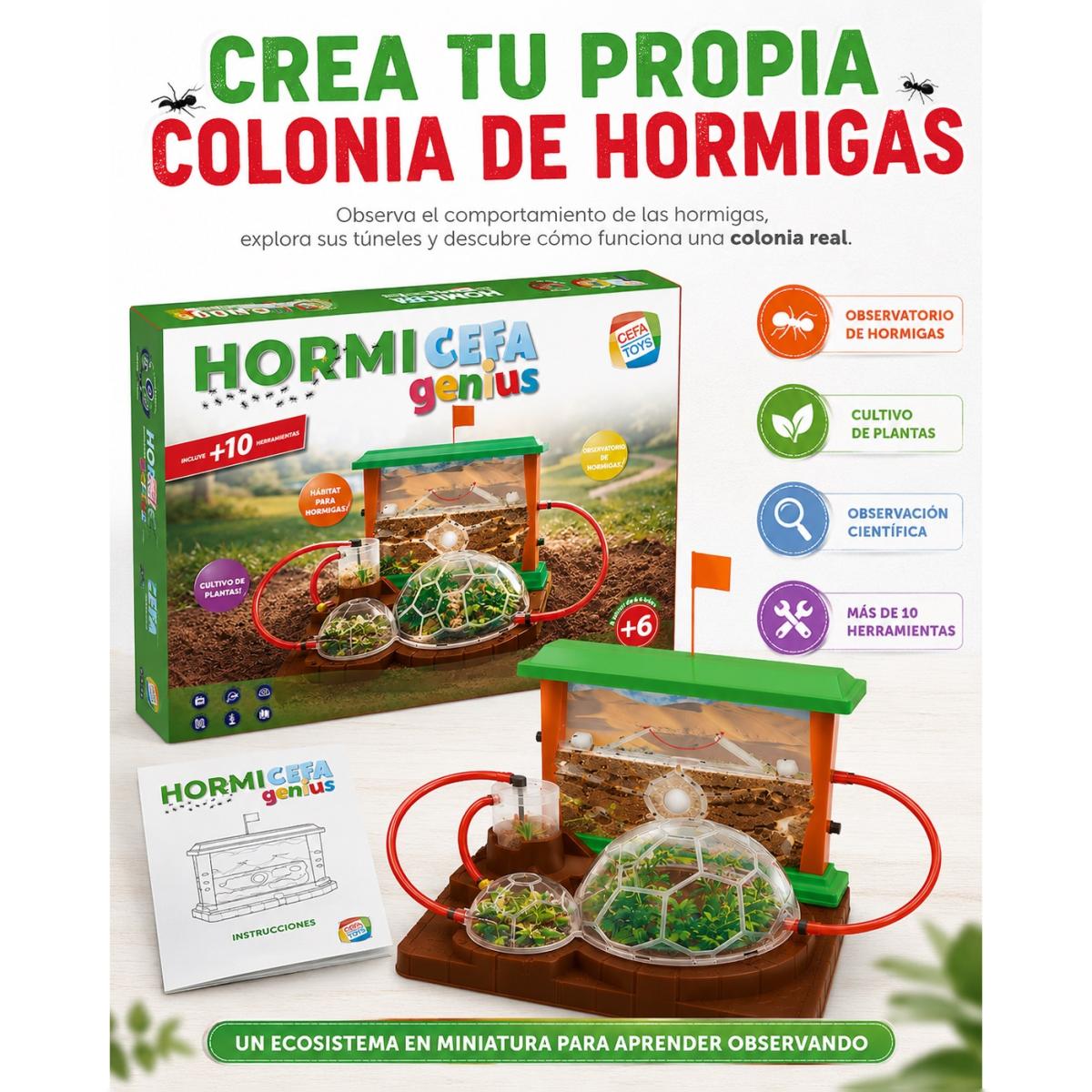 Juego educativo Hormicefa Genius Cefa Toys 5