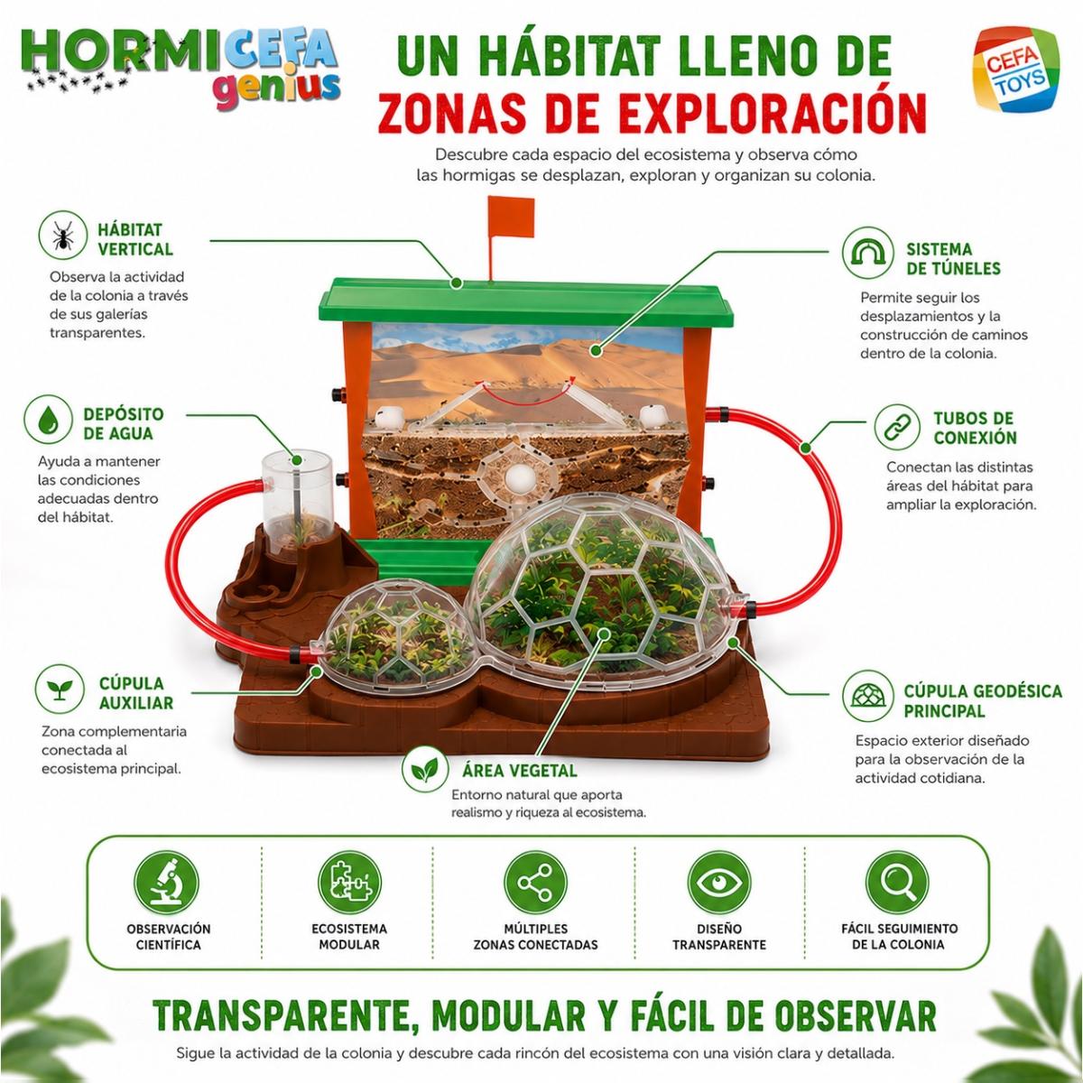 Juego educativo Hormicefa Genius Cefa Toys 7