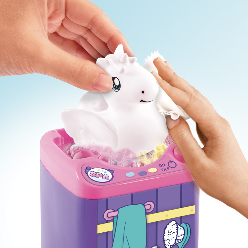 Color pets Spa 8