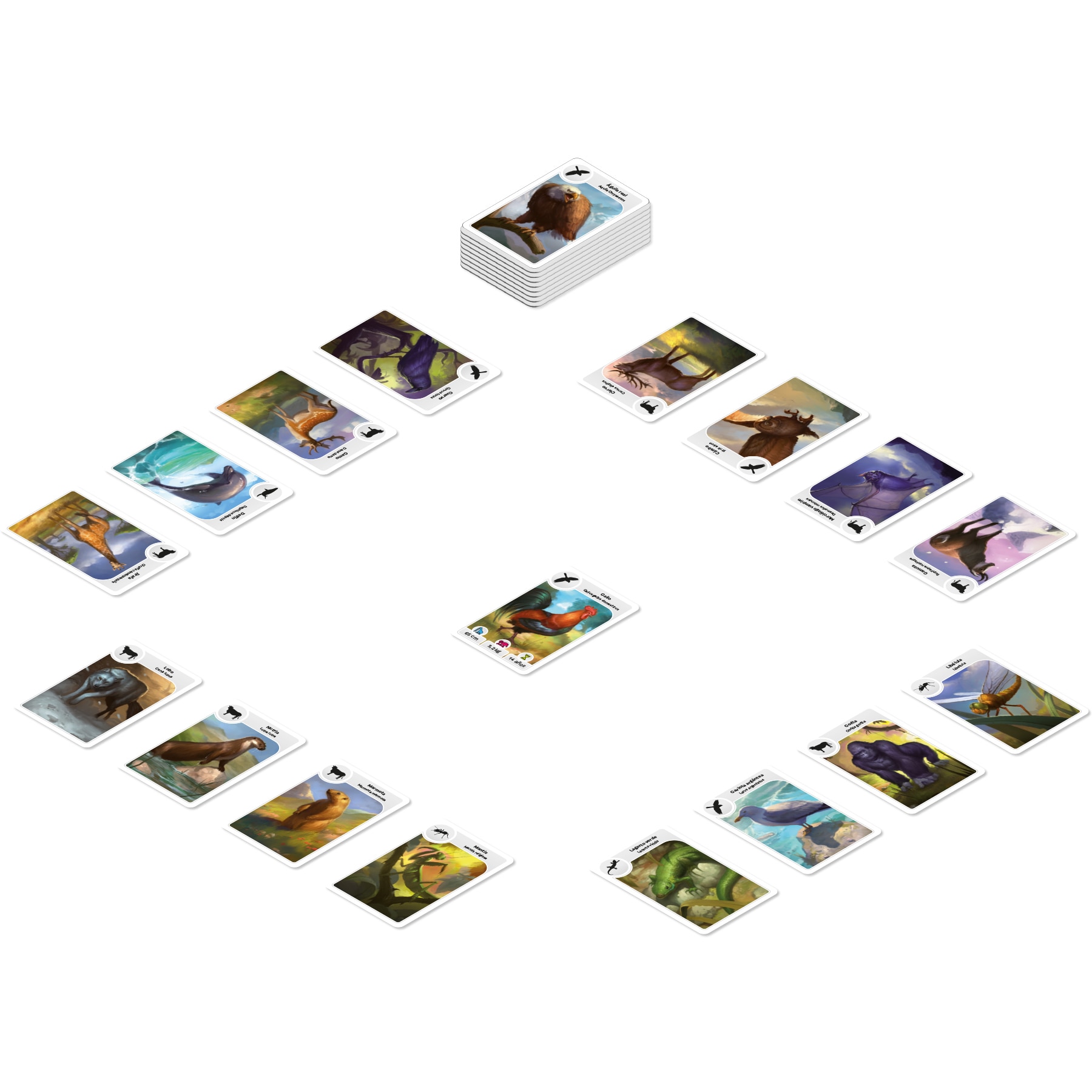 Juego de cartas Cardline Animales 2 Asmodee 2
