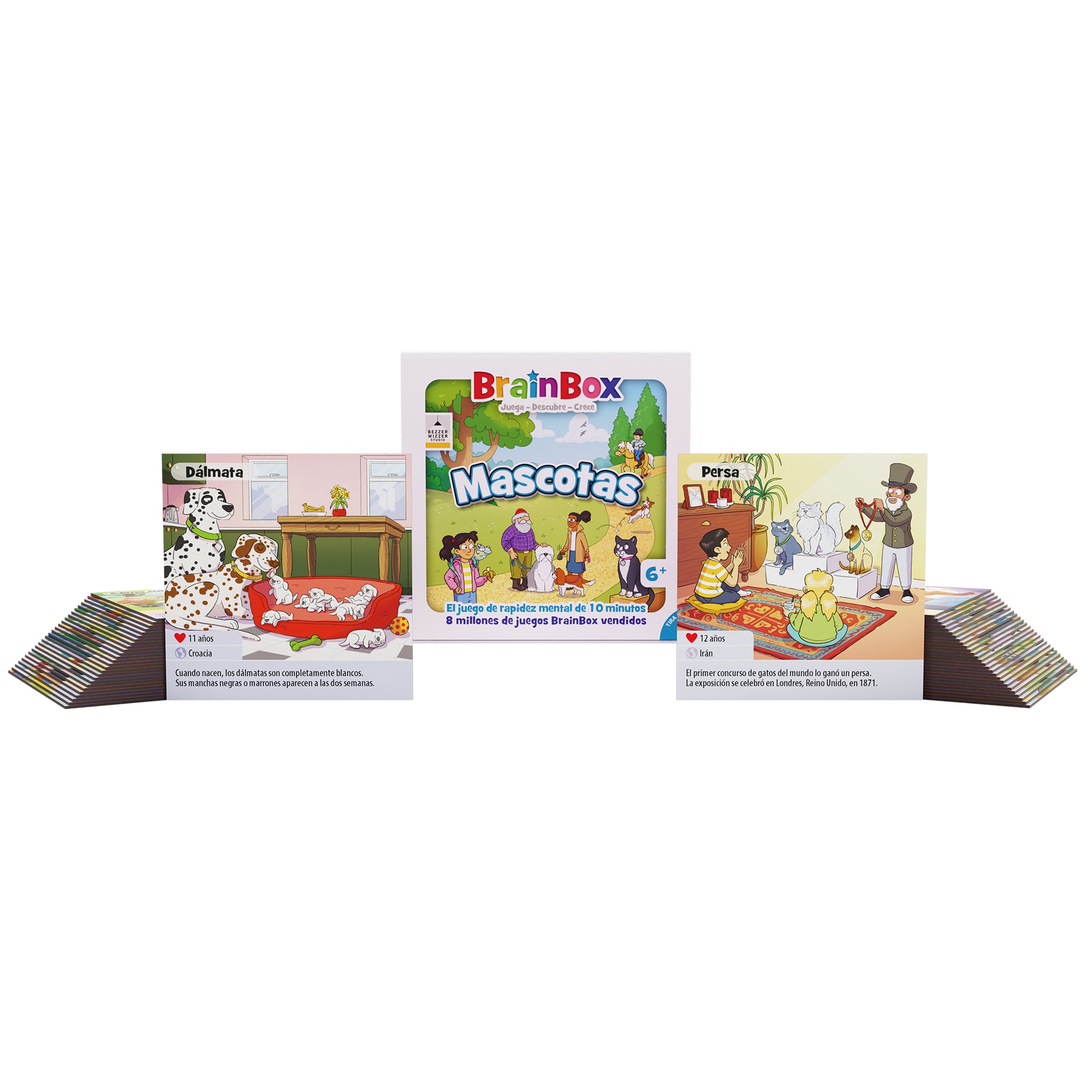 Juego de mesa BrainBox Mascotas Asmodee 4