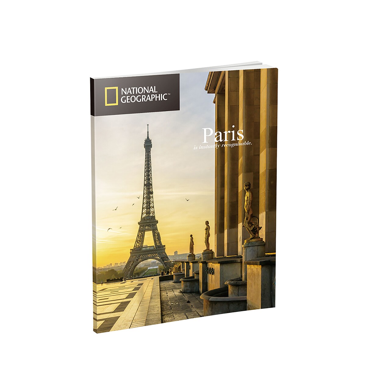 Puzzle 3D National Geographic Notre Dame 4