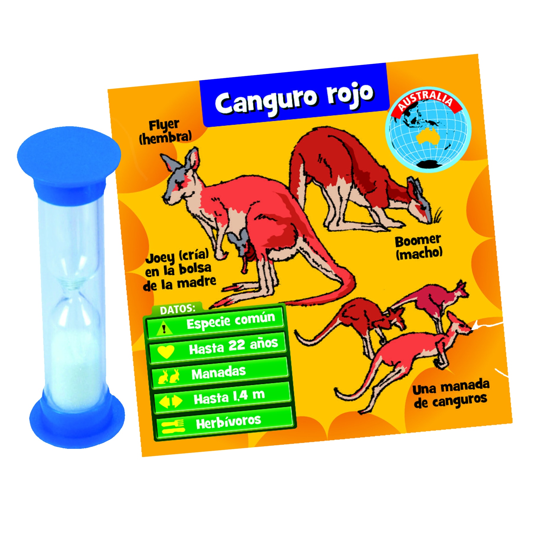 BrainBox Animales 2