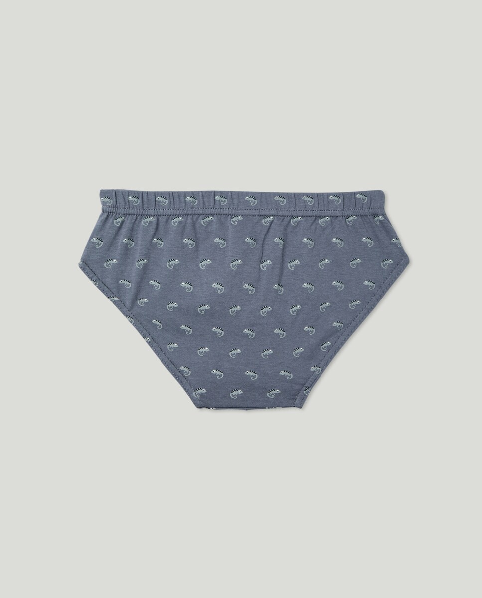 Pack 5 slips fantasia de niño Azul-2