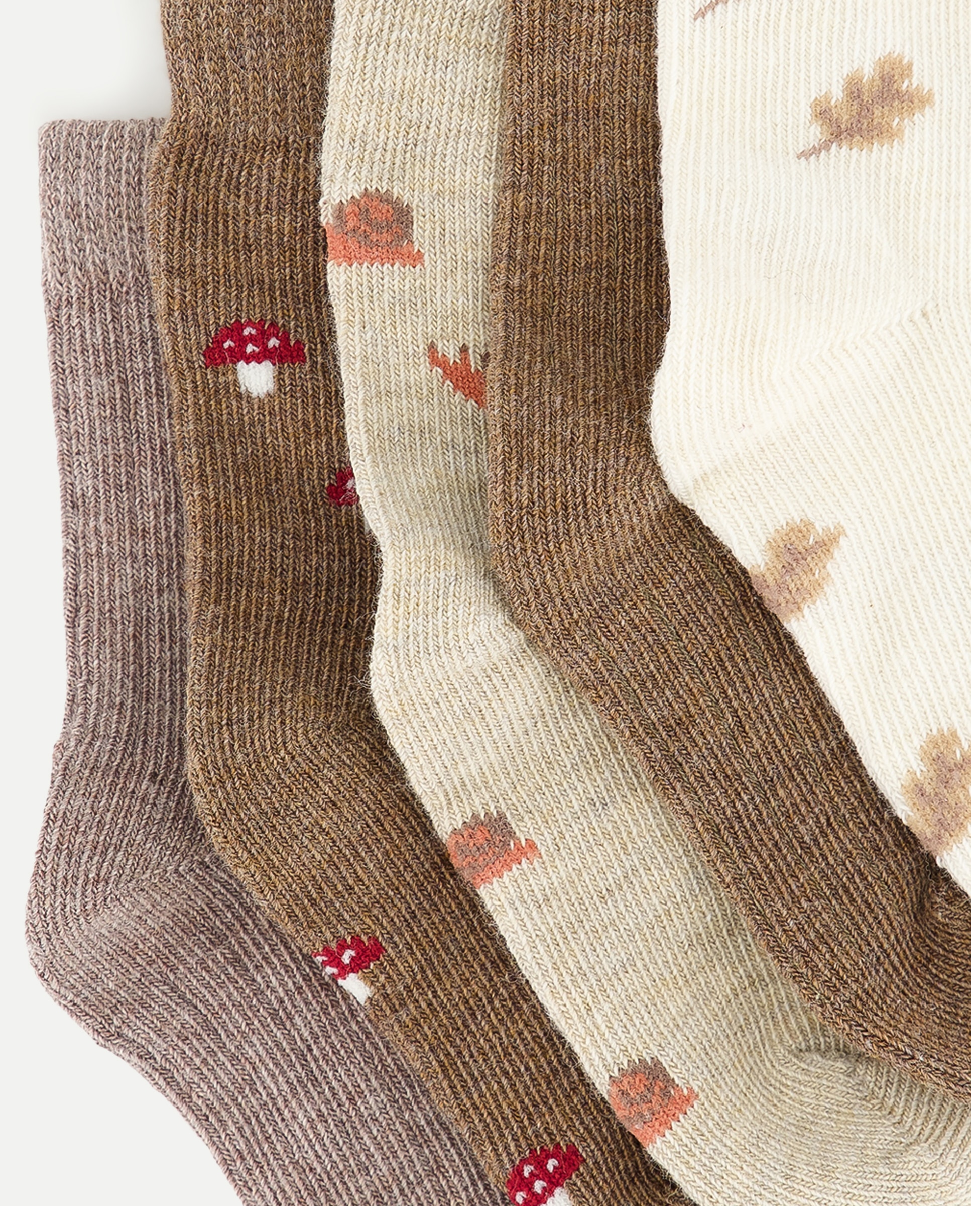 Pack de 5 calcetines de bebé Toffee-2