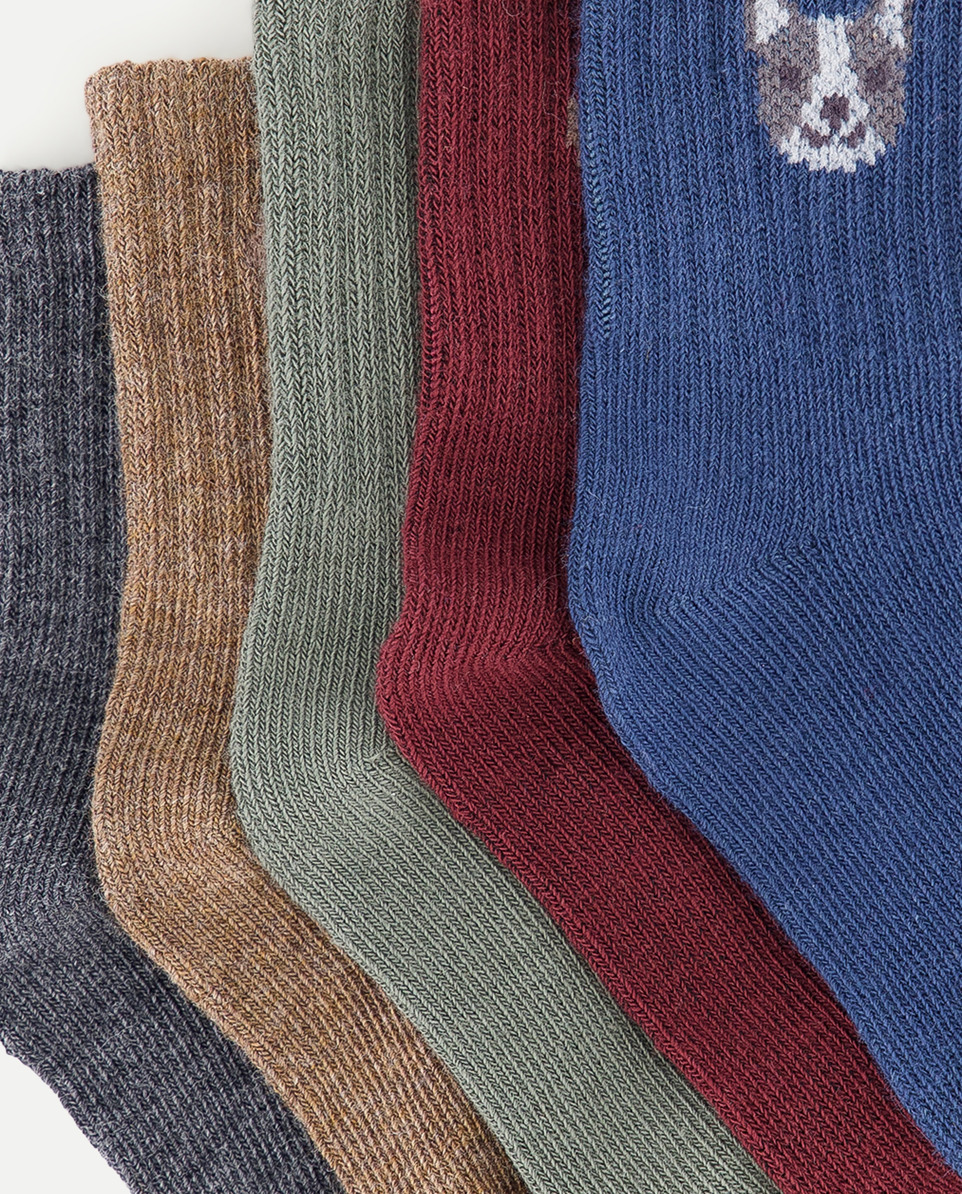 Pack de 5 calcetines de bebé Azul oscuro-2