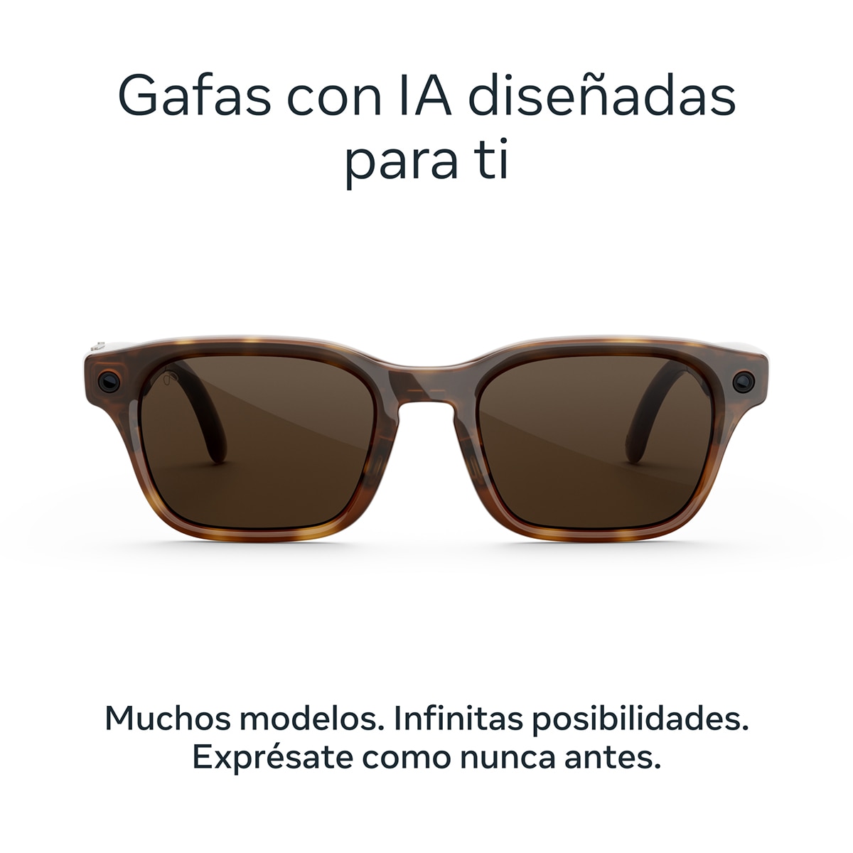 Gafas con IA Meta Adventurer, Tortuga clásico, Lentes en marrón 3